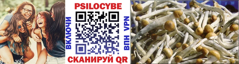 Галлюциногенные грибы Psilocybine cubensis  МЕГА онион  Мурино 
