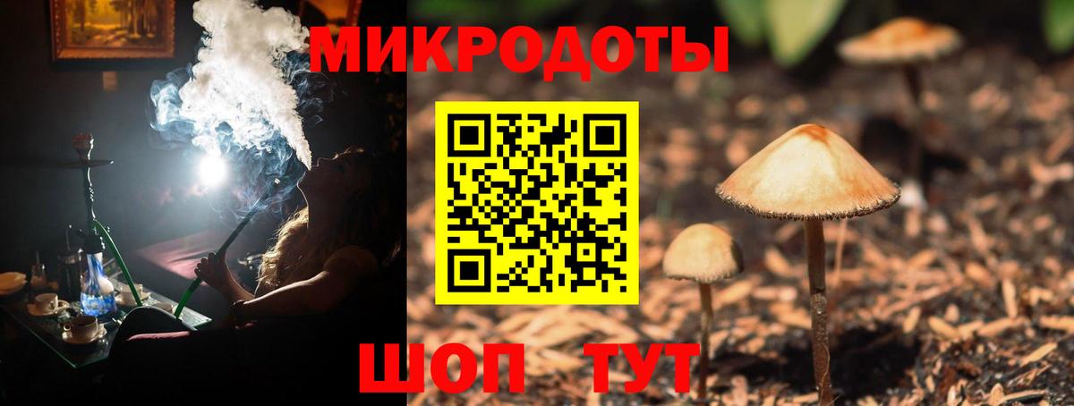 Мурино  Псилоцибиновые грибы мухоморы  хочу наркоту  Вход с VPN  Псилоцибиновые грибы GOLDEN TEACHER 